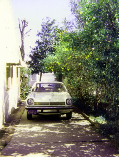 DLFs 1976 Chevrolet Vega, lemon trees