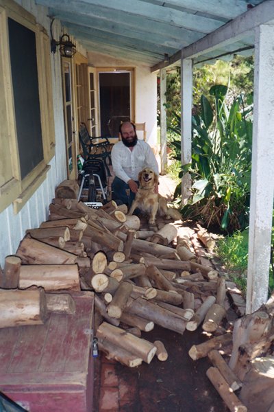 RWF; Sandy unstacks a woodpile